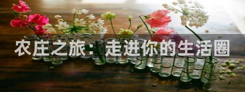 天辰娱乐