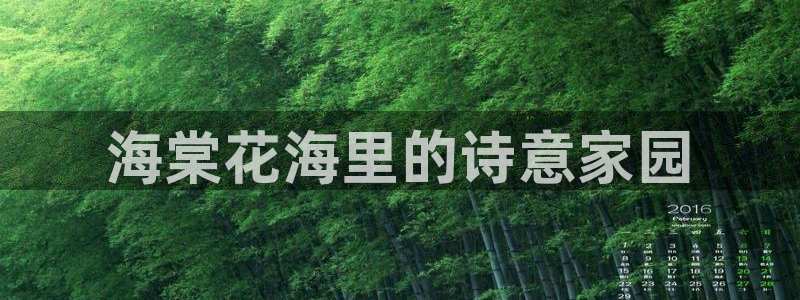 nba天辰娱乐