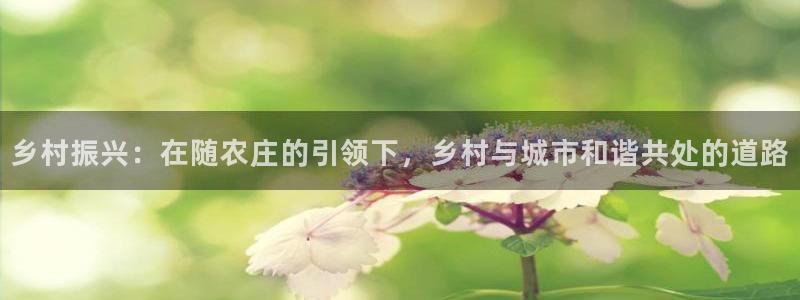 天辰娱乐国际