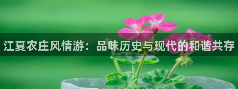 天辰娱乐网址娱乐游戏