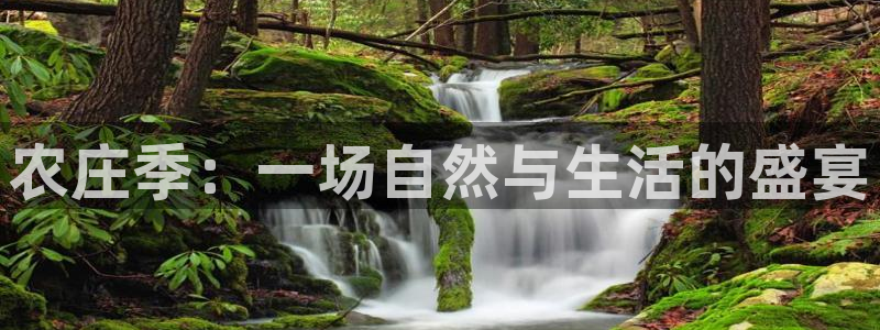 天辰娱乐1996