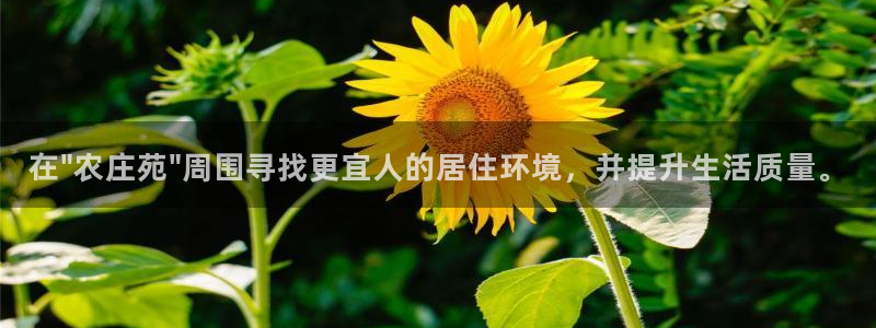 天辰娱乐44616
