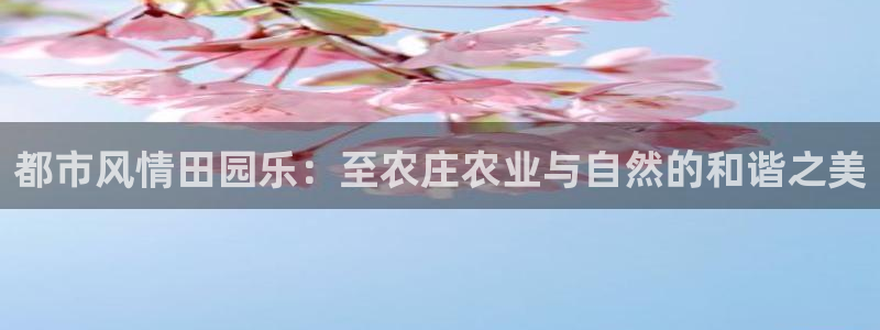 天辰娱乐51137