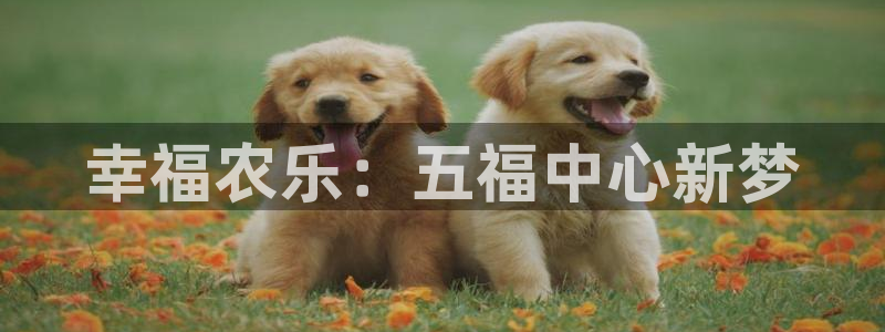 天辰娱乐53551