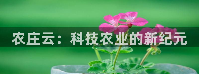 南充天辰娱乐