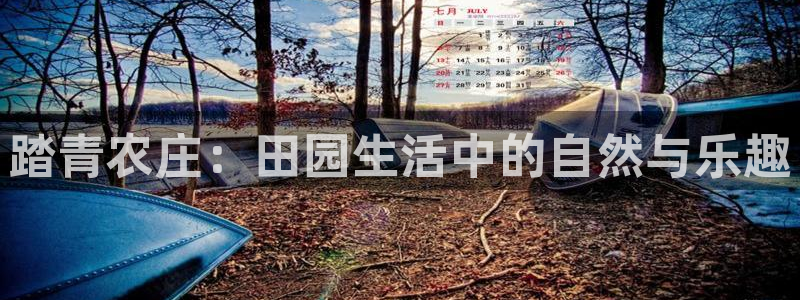 天辰娱乐官网平台入口