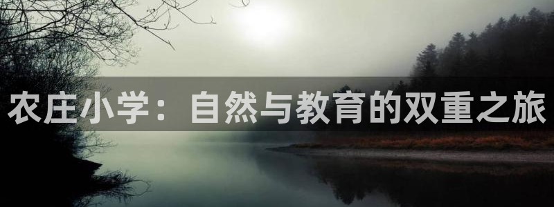 天辰娱乐51137