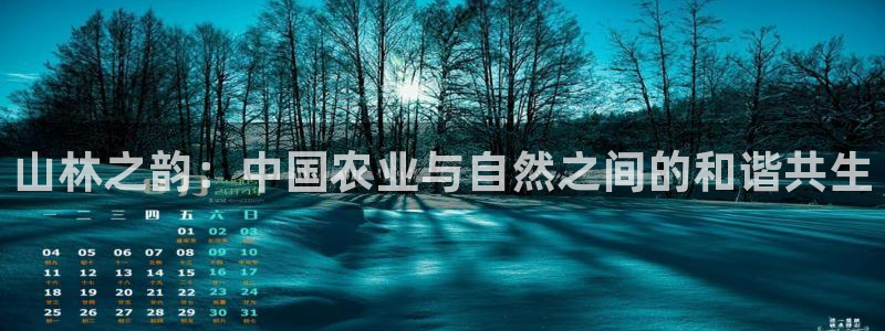 天辰娱乐_ 18113