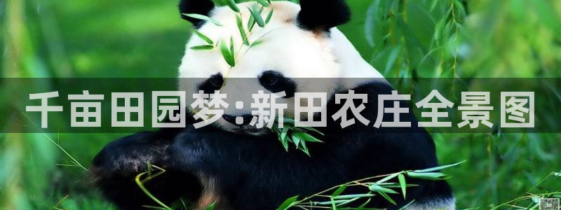 天辰娱乐游戏平台怎么样