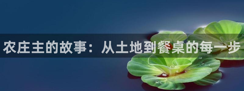 天辰娱乐-18113