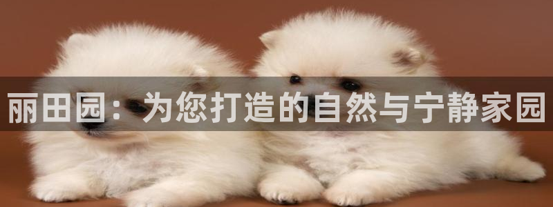 天辰娱乐指尖所