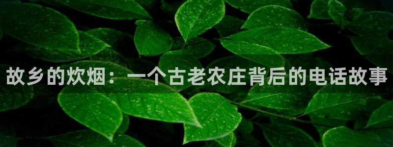 天辰(娱乐注册