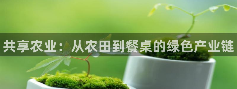 天辰娱乐登陆平台