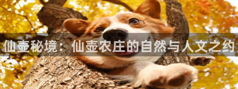 天辰娱乐39974神