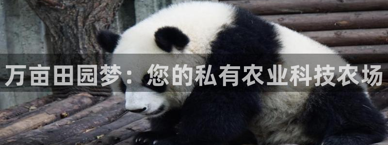 天辰娱乐7天22650