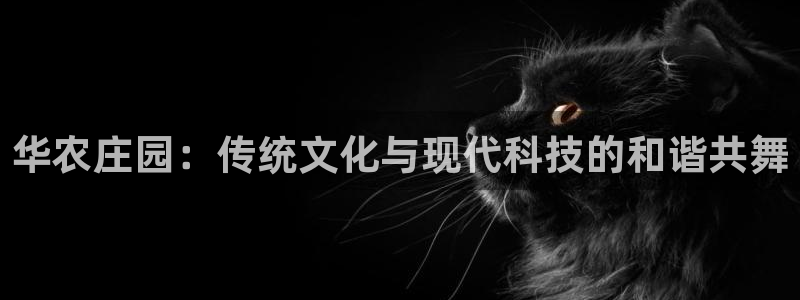 天辰娱乐娱乐注册