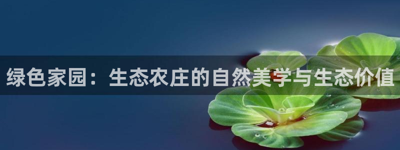 天辰娱乐登录网址