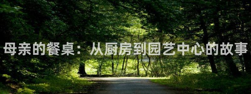 天辰娱乐下载地址