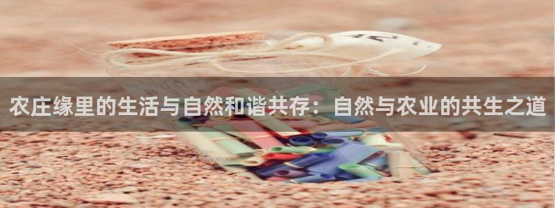 天辰娱乐平台注册