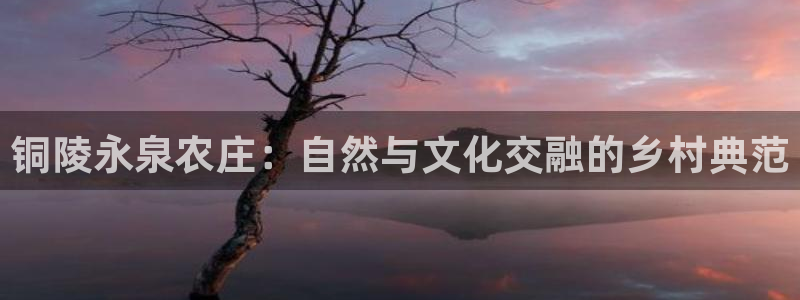 天辰娱乐平台地址