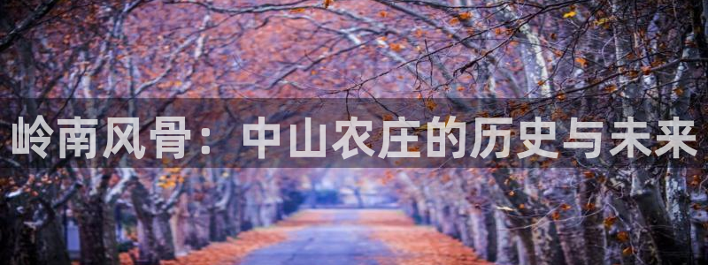 天辰娱乐官网平台入口