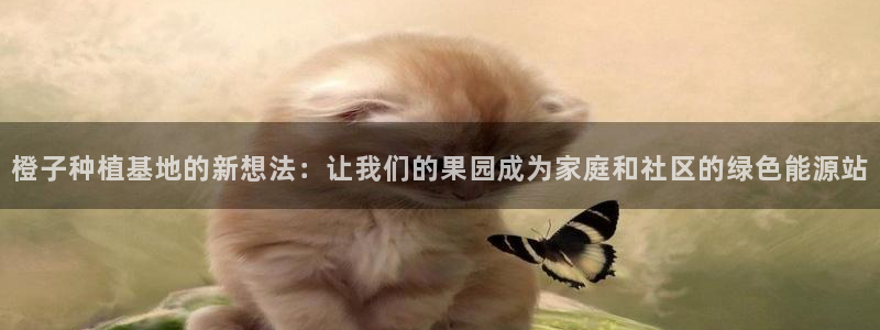 天辰娱乐登陆平台