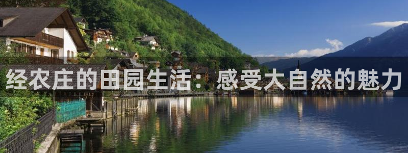 天辰团队贝高娱乐