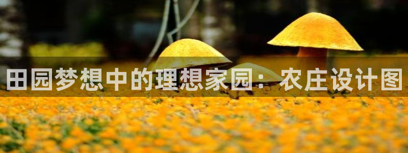 天辰 娱乐 注册