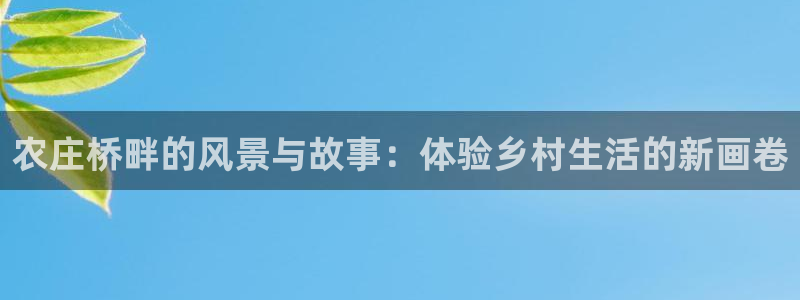 天辰娱乐官方网