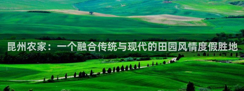 天辰娱乐反水