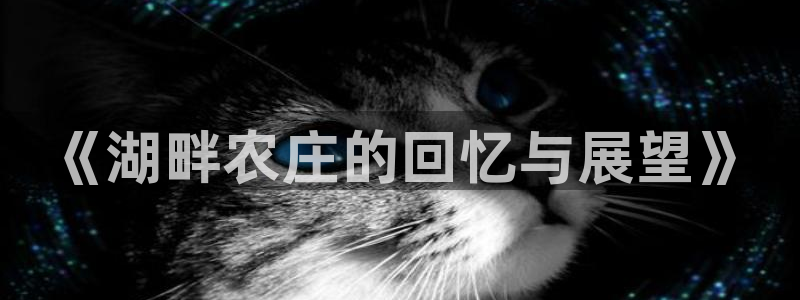 天富娱乐天辰娱乐