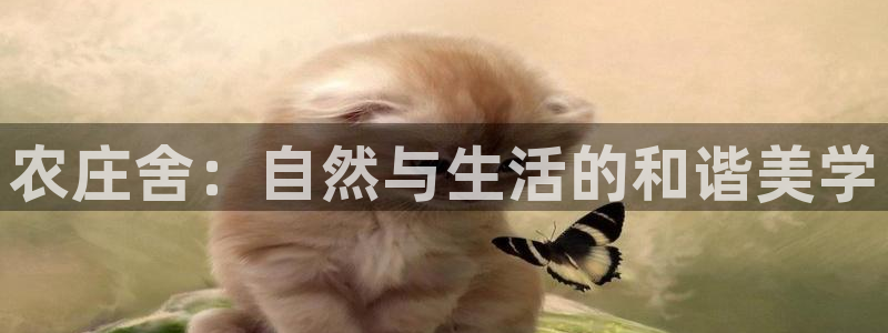 天辰娱乐注册