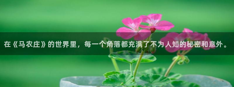 天辰娱乐主管