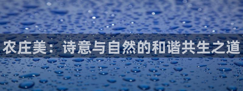 天辰娱乐怎么样